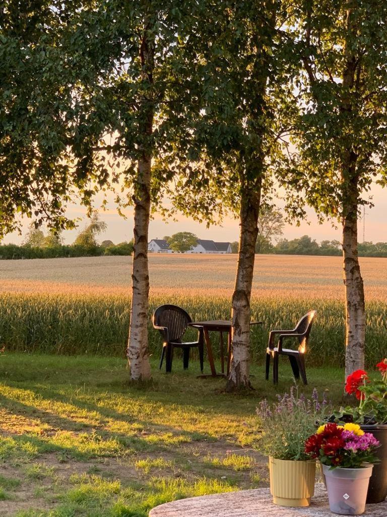 Romantik Luxus Glamping 2 Idestrup Esterno foto