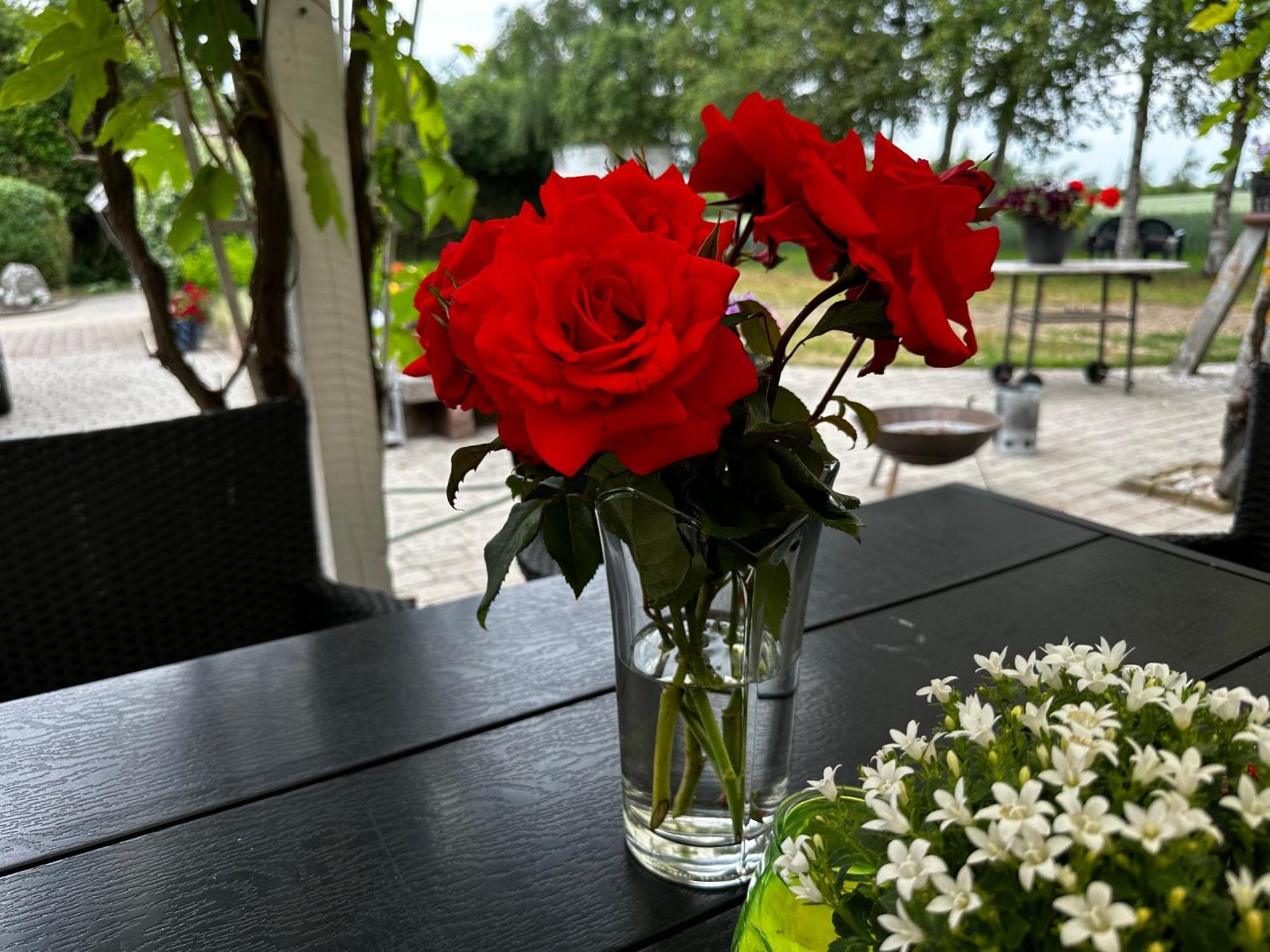 Romantik Luxus Glamping 2 Idestrup Esterno foto