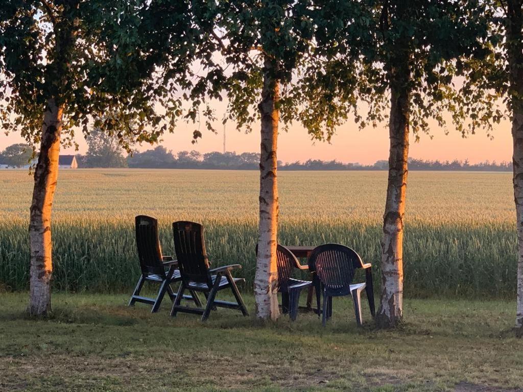 Romantik Luxus Glamping 2 Idestrup Esterno foto